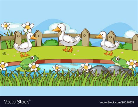 Scene With Ducks And Frogs Pond Royalty Free Vector Image