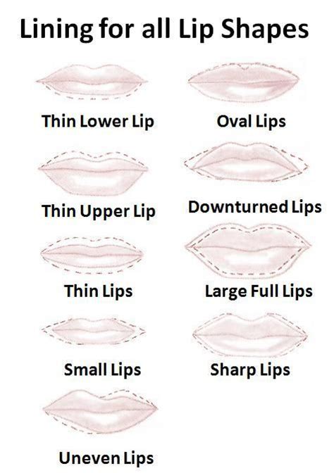 Lip liner depending to your lips shape | Lip shapes, Lip makeup, Lipstick hacks