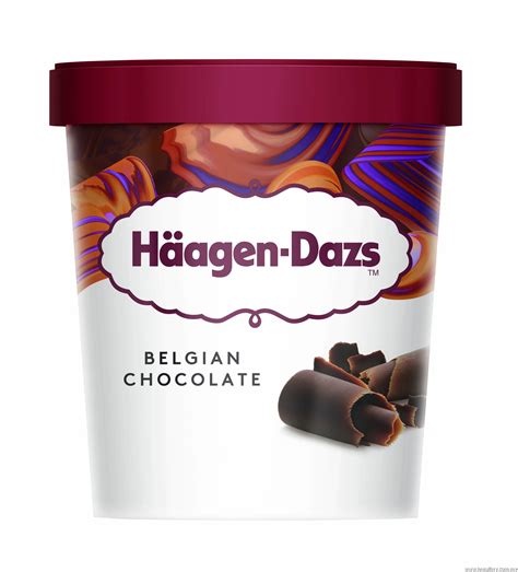 Ready Stock Haagen-Dazs Belgian Chocolate Pint 392g/473ml (Klang Valley ...