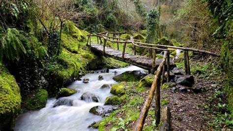 Una Domenica Con Visita Dell Oasi Del Bussento Delle Grotte Di Pertosa