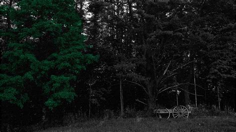 dark   photograph  dominick mucci pixels