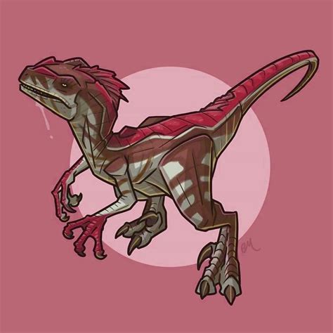 Alpha Velociraptor Jurassic World Dinosaurs Dinosaur Sketch