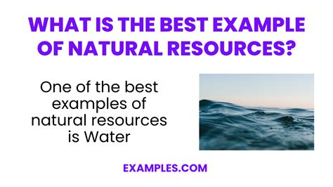 Natural Resources - 20+ Examples, How to Preserve