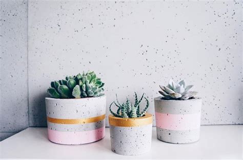 Three Cement Pots With Succulents In Them Sitting On A White Shelf Next