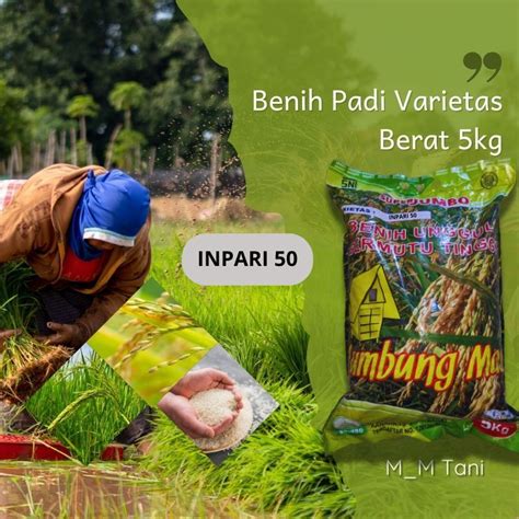 Jual Bibit Varietas Padi Inpari Marem Terbaru Berat Kg Shopee