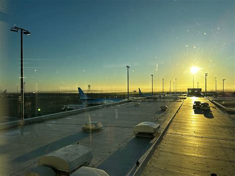 San Jose CA and 15 flights in J and F, a 1,000 tier point run on BA/AA ...