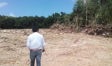 Clausura Profepa Predio Balamtun Por Cambio De Uso De Suelo Forestal