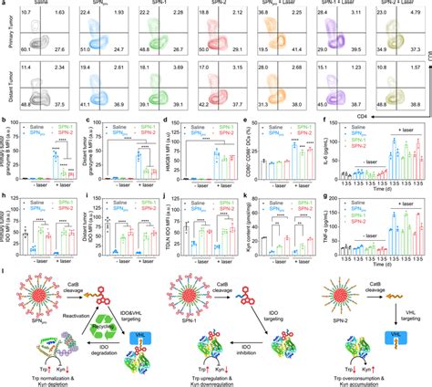 In Vivo SPNpro Mediated Activatable Photo Immunometabolic Therapy A