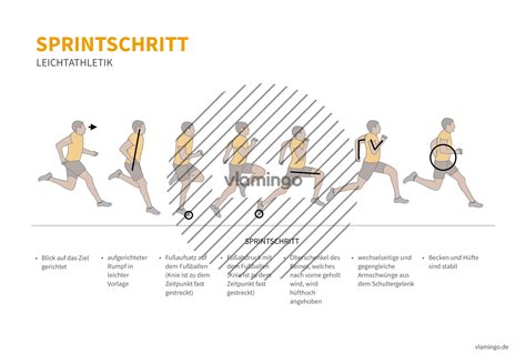 Sprinten Technik Phasen Bewegungsbeschreibung im Überblick