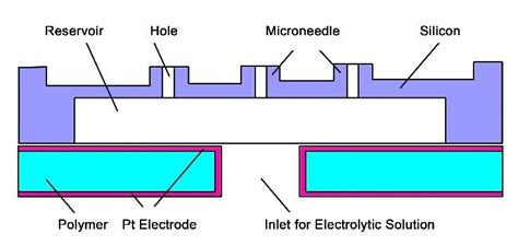 The Schematic Of The Bio Potential Electrode With Hollow Microneedles