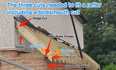 Birdsmouth Cut: How to Calculate and Cut a Birdsmouth Joint