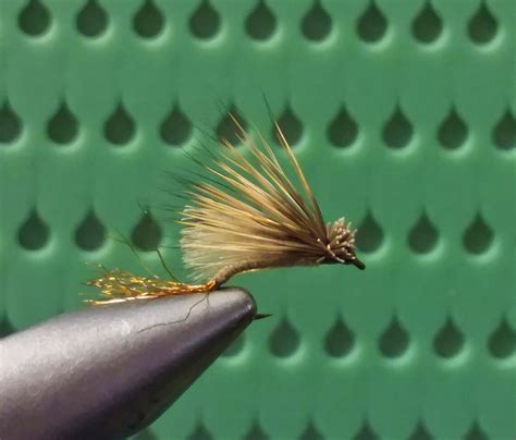 3 Cdc X Caddis Fly Tanolive Dry Flies Etsy