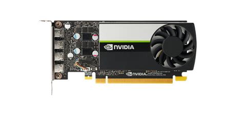 NVIDIA T1000 8GB - Workstation Specialists