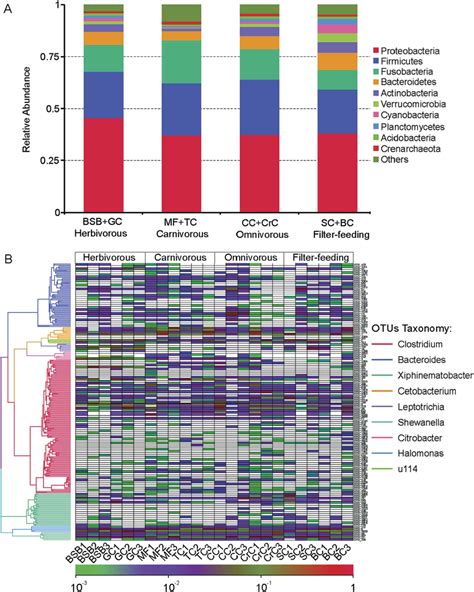 Composition Of Gut Microbiota In Fishes With Four Trophic Levels At