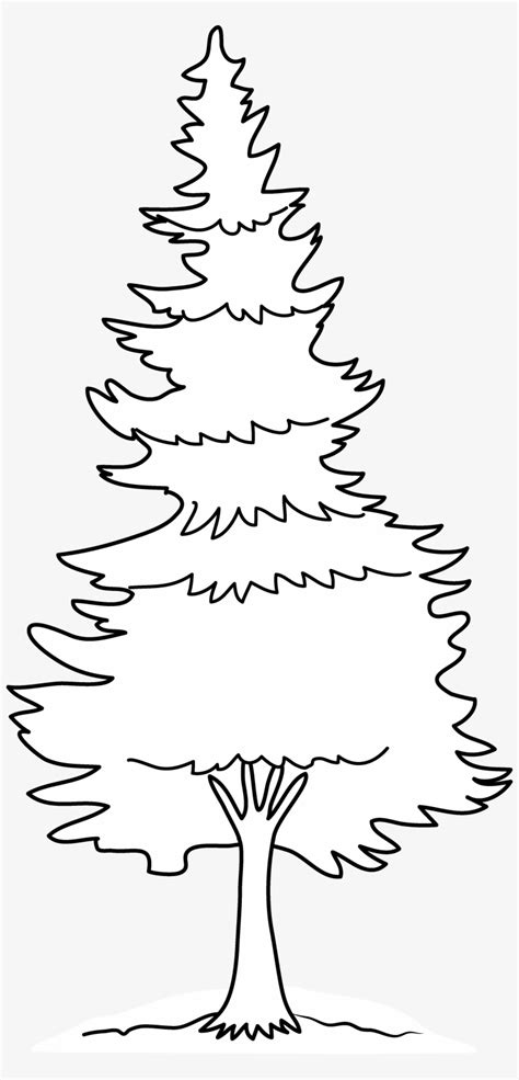 Pine Tree Silhouette Clip Art - Pine Tree Clip Art Outline - Free ...
