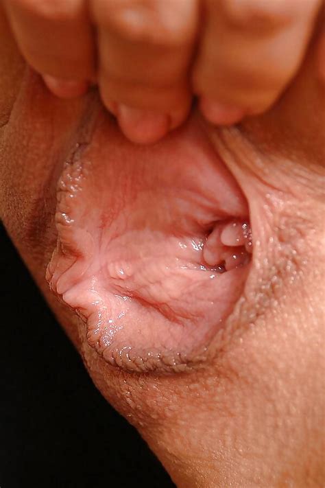 Pussy Collection Porn Pictures XXX Photos Sex Images 1797838 PICTOA