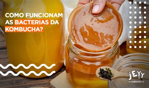 Kombucha Bactérias Como Funcionam Jeyy Kombucha