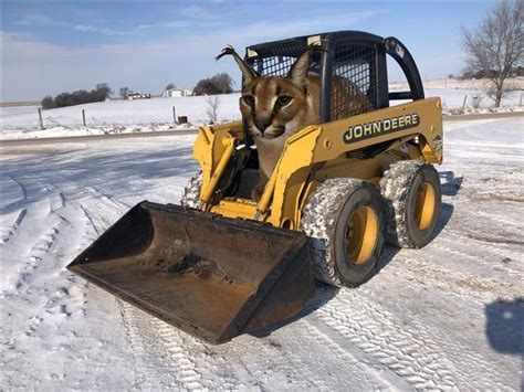 the floppa betrayed us : r/StolenSkidloader