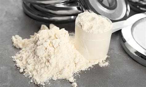 Cara Minum Whey Protein Untuk Meningkatkan Massa Otot Sfidn Science From Indonesia Articles