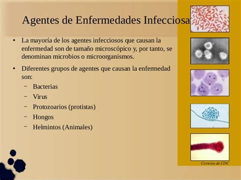 Enfermedades Infecciosa