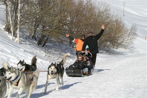 Balade en chiens de traineau OT Saint François Longchamp