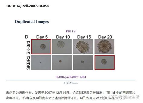 网友深扒控诉某院士与某杰青多篇论文涉嫌学术不端！ 知乎