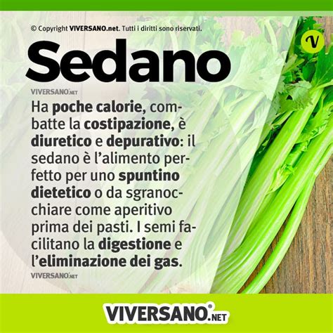 Sedano Propriet Nutrizionali Calorie Benefici E Controindicazioni