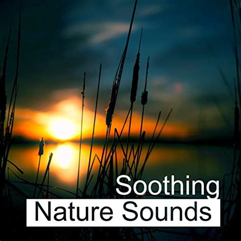 Soothing Nature Sounds – Easy Way to Relax, Rest with Nature Music ...