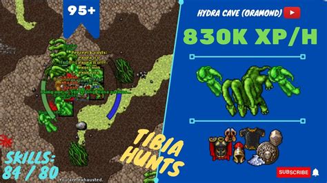 EK SOLO LVL 95 830K XP H SKILLS 84 80 Hydra Cave Oramond TIBIA