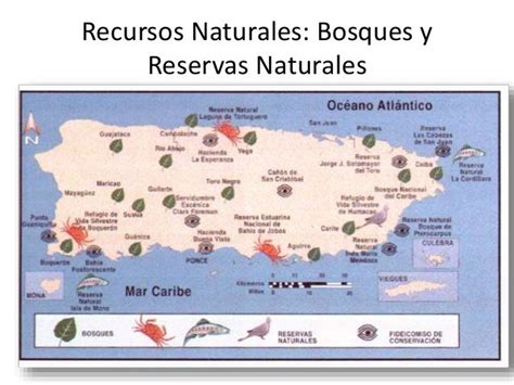 Recursos Naturales De Puerto Rico