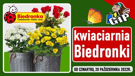 BIEDRONKA Oferta Od Czwartku 20 10 2022 Kwiaciarnia Biedronki YouTube