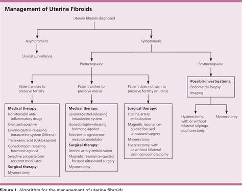 Pathophysiology Of Uterine Fibroids