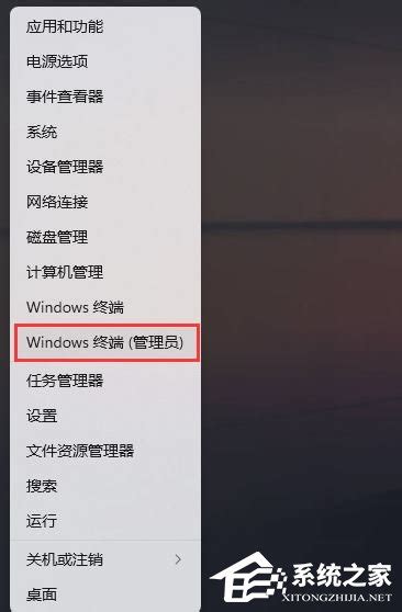 Win11打开设置闪退怎么办 Win11设置界面闪退解决方法 系统之家