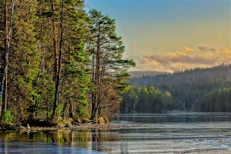 Sweden Trees Lake Free Photo On Pixabay Pixabay