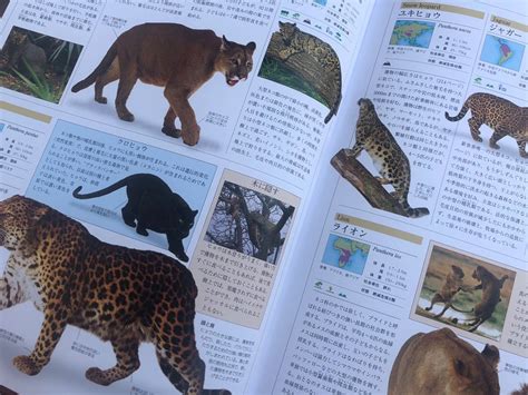 【念願】世界動物大図鑑 色彩認定講師／近藤正憲／coloroza