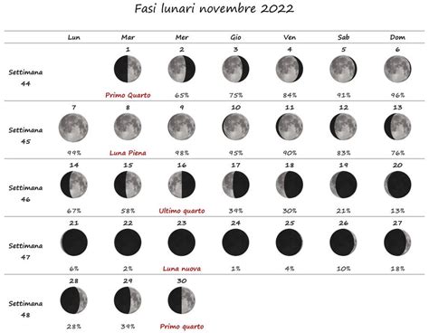 Mese Scarico Aderire Taglio Dei Capelli E Fasi Lunari Ordine Tappeto Lilla