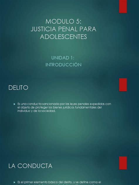 Modulo 4 Unidad 1 Descargar Gratis Pdf Derecho Penal Castigos