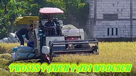 PETANI PADI PANEN DENGAN MESIN COMBI DBB CHANEL YouTube