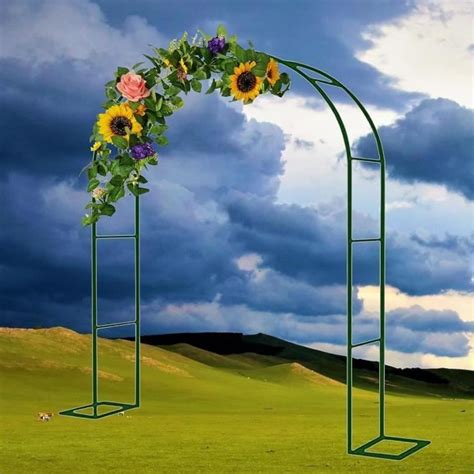 Arche de jardin en métal pour plantes grimpantes TRAHOO Treillis d