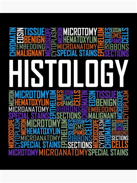 Histology Words Histologist Technician Poster For Sale By Ashleyxowpa