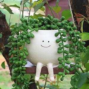 Ceojpa Small Swing Smiley Face Hanging Planter Pot For Indoor Outdoor