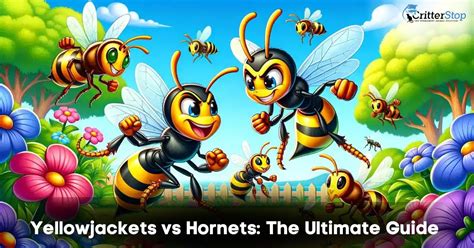 Yellowjackets vs Hornets: The Ultimate Guide | Critter Stop