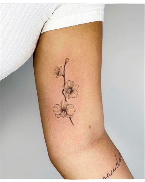 Tatuagem De Orqu Dea Fine Line Orchid Flower Tattoos Subtle Tattoos