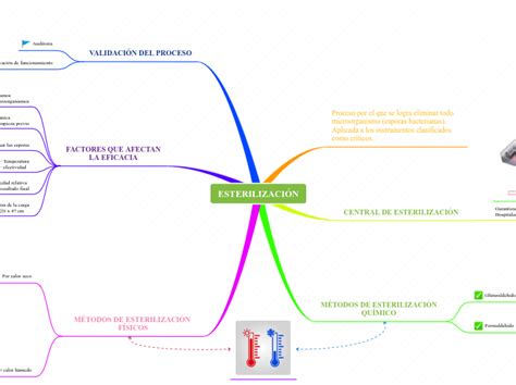 Esterilizaci N Mind Map