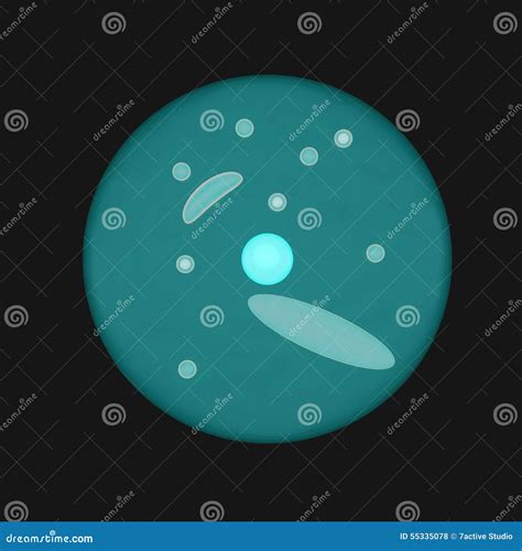 Binary Fission Cartoon Vector 64411125