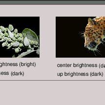 Example of a possible browsing interface | Download Scientific Diagram