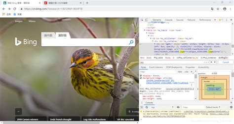 bing csdn