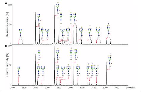 Maldi Tof Mass Spectra Of Tryptic Igg Fc Glycopeptides Of A Protein