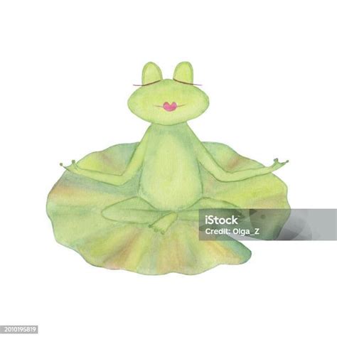 Frogs Yoga Meditation On A Green Water Lily Leaf Stock Illustration