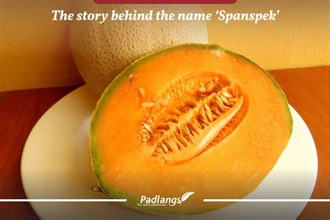 The story behind the name ‘Spanspek’